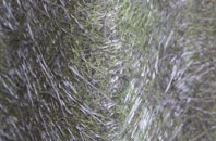 Derry Hill fibreglass roof work